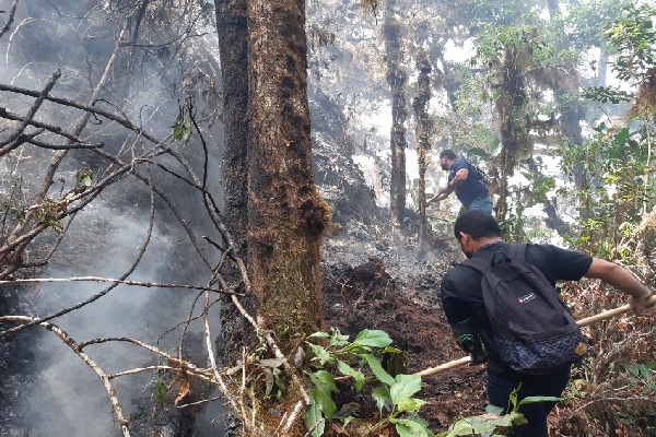 Incendio Forestal En Cerro Punta Está Controlado En Un 80% – Panamá En ...