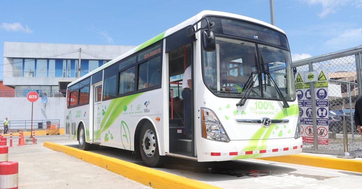 MiBus Busca Implementar Más Rutas De Buses Eléctricos En Ciudad De ...